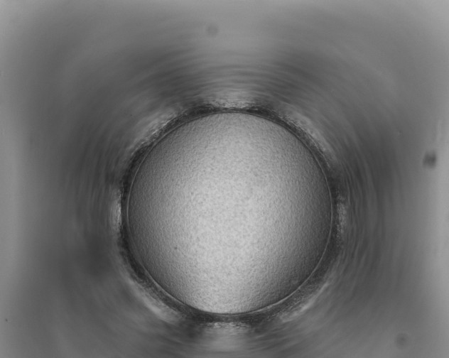 X0000094350541200711091454