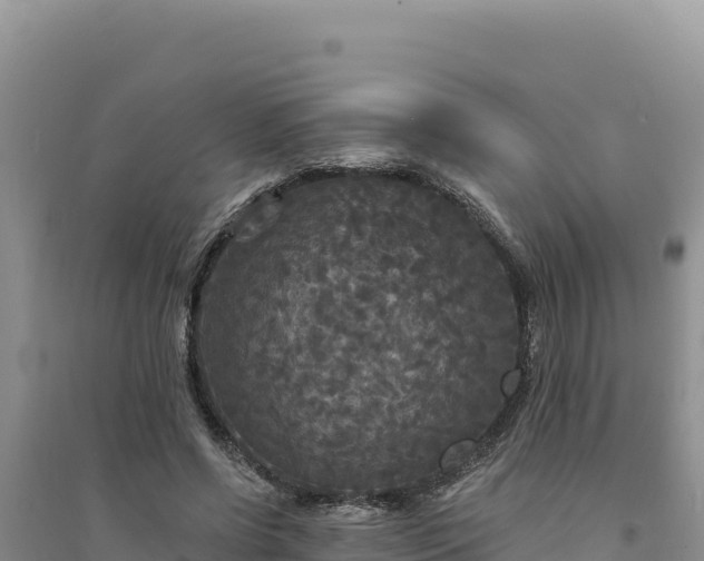 X0000094350542200711091454