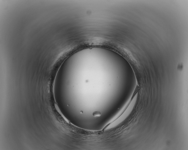 X0000094350543200711091454