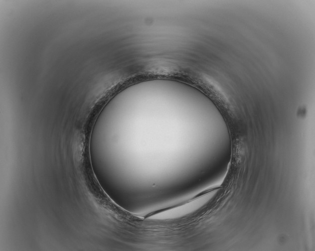 X0000094350544200711091454