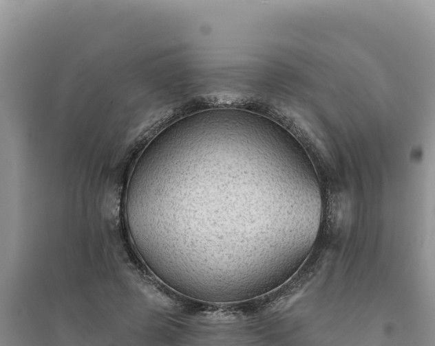 X0000094350545200711091454