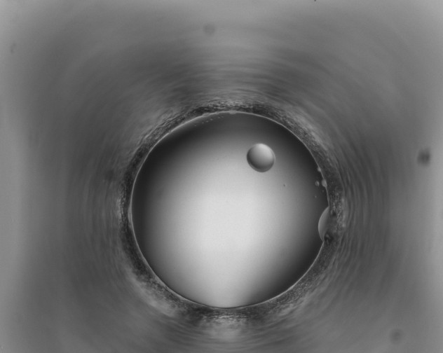 X0000094350546200711091454