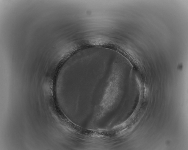 X0000094350547200711091454