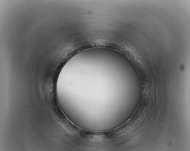 X0000094350548200711091454