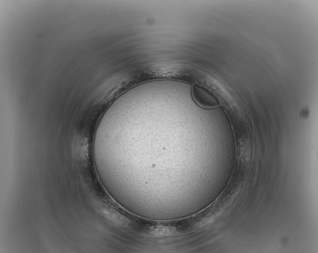 X0000094350549200711091454