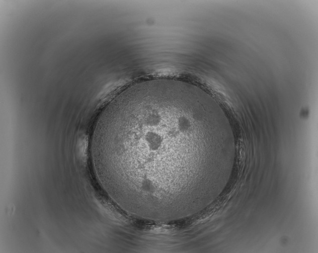 X0000094350550200711091455