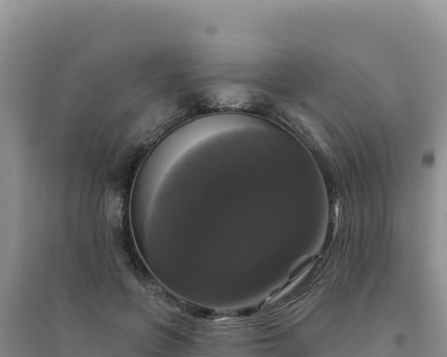 X0000094350551200711091455