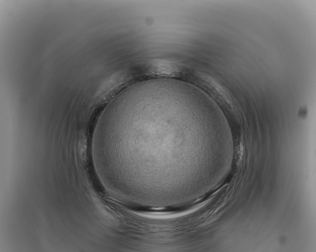 X0000094350552200711091455