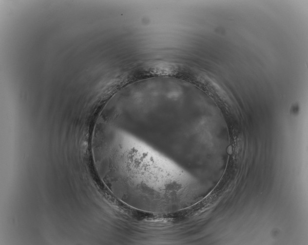 X0000094350553200711091455