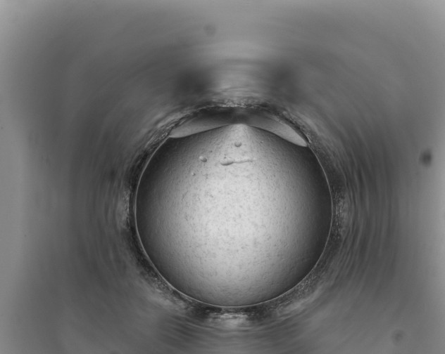 X0000094350554200711091455