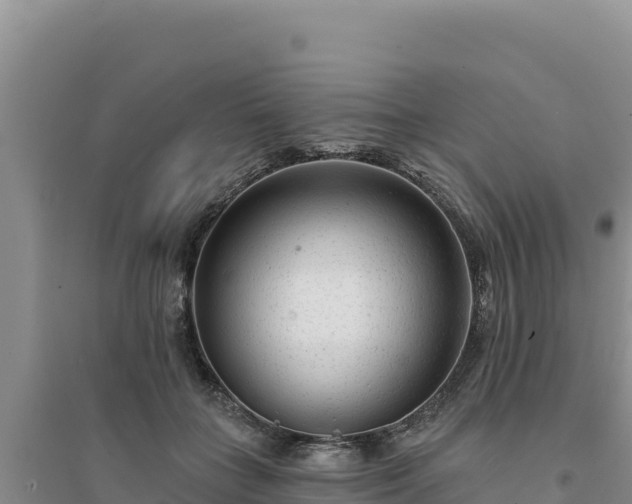 X0000094350555200711091455