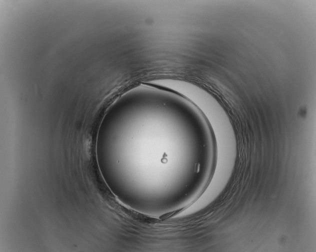 X0000094350556200711091455