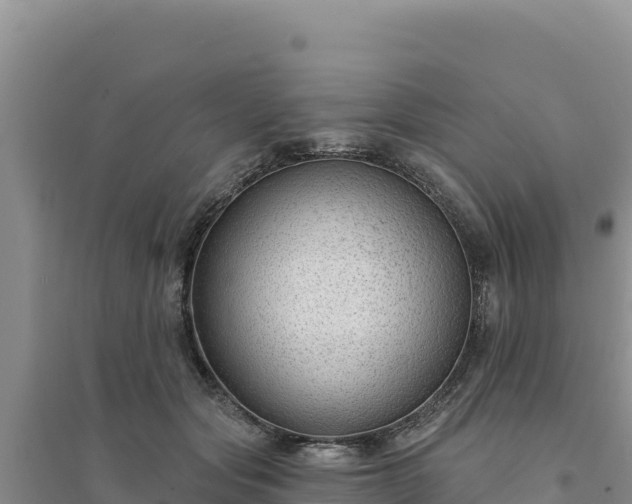 X0000094350557200711091455