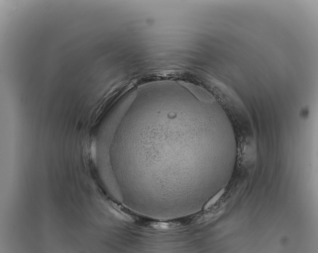 X0000094350558200711091455