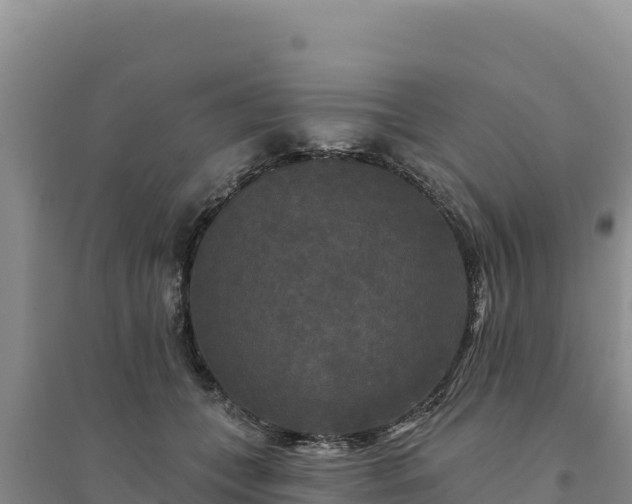 X0000094350559200711091455