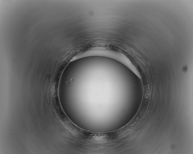 X0000094350560200711091455