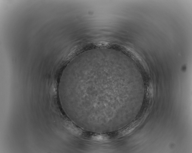 X0000094350561200711091455