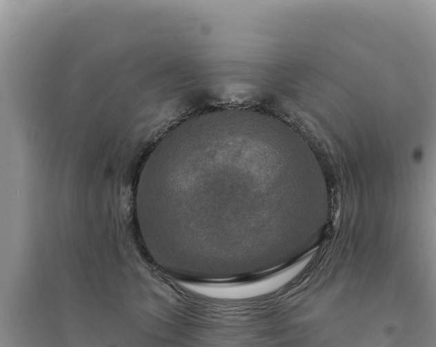 X0000094350563200711091455