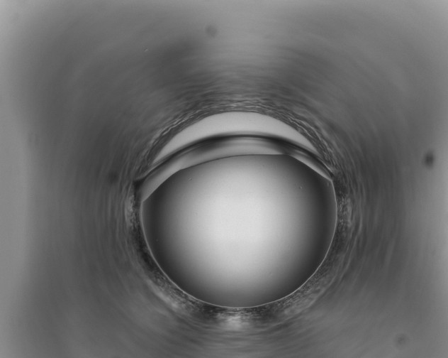 X0000094350564200711091455