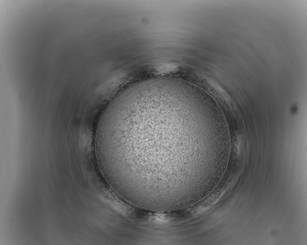 X0000094350565200711091455