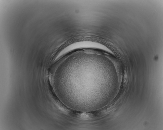 X0000094350566200711091455