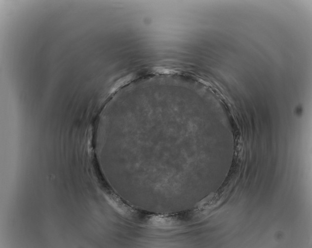 X0000094350568200711091455