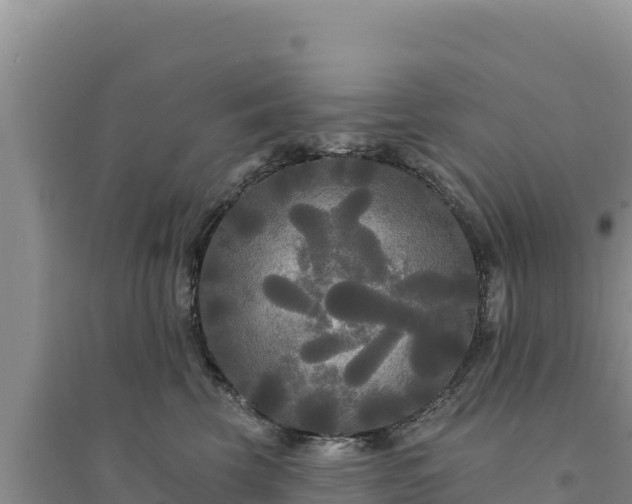 X0000094350569200711091455