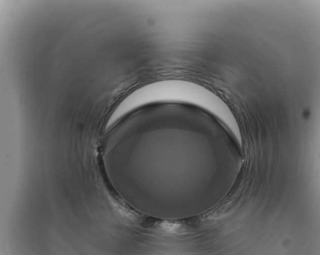 X0000094350570200711091455