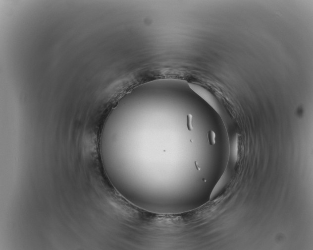 X0000094350571200711091455