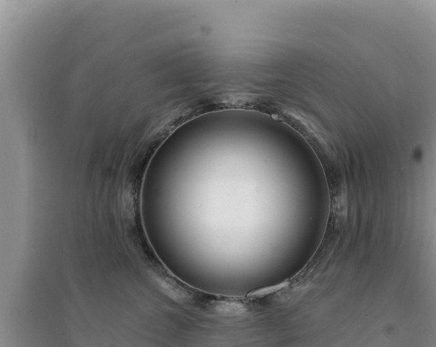 X0000094350572200711091455