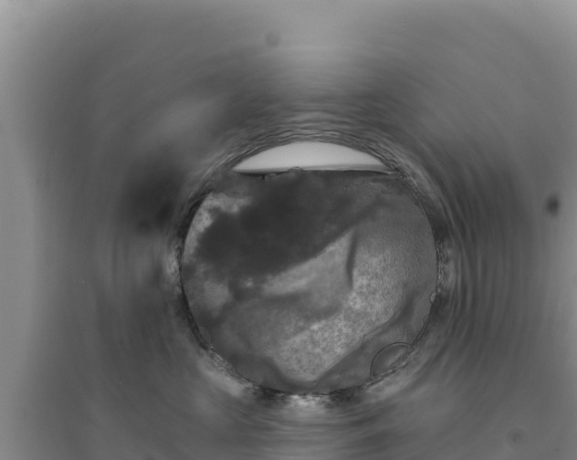 X0000094350573200711091455