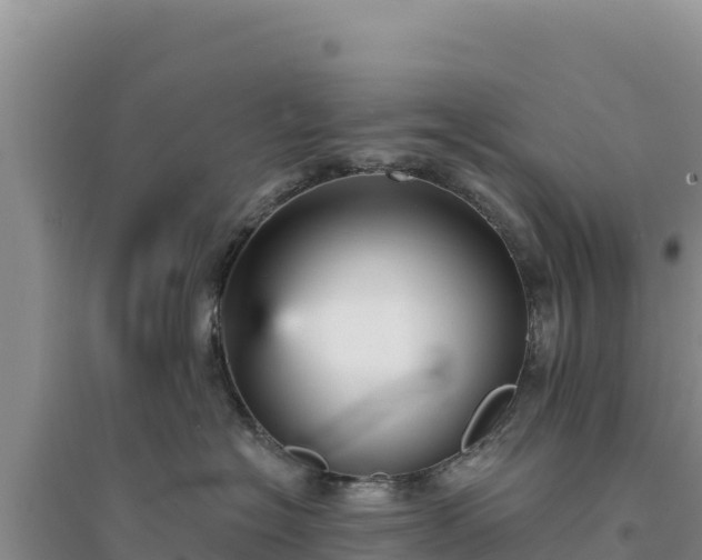 X0000094350574200711091455