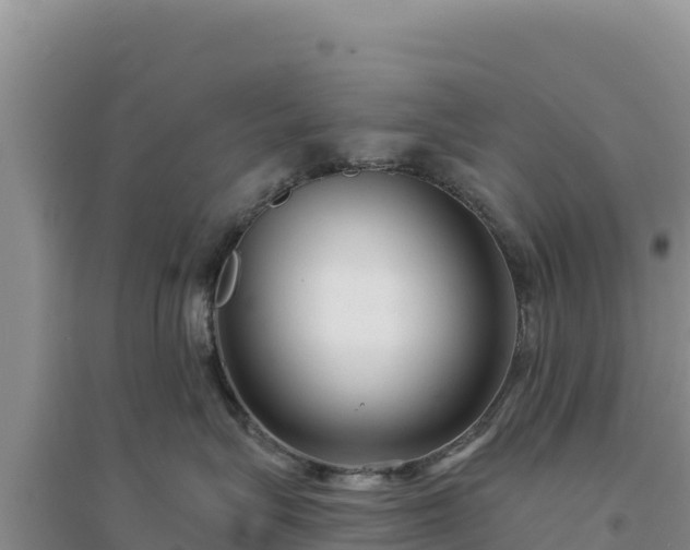 X0000094350575200711091455