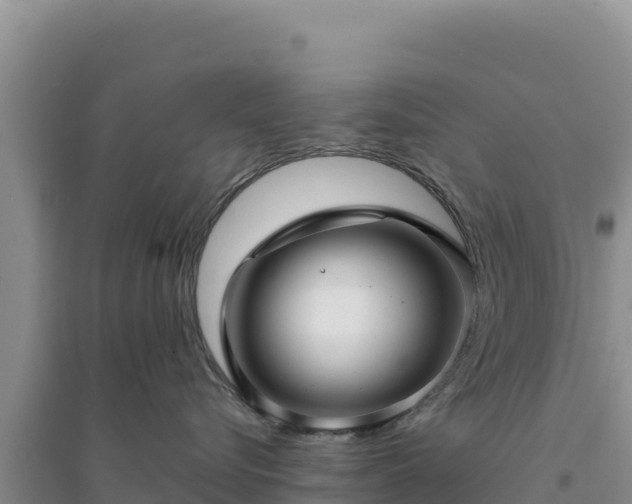 X0000094350576200711091455