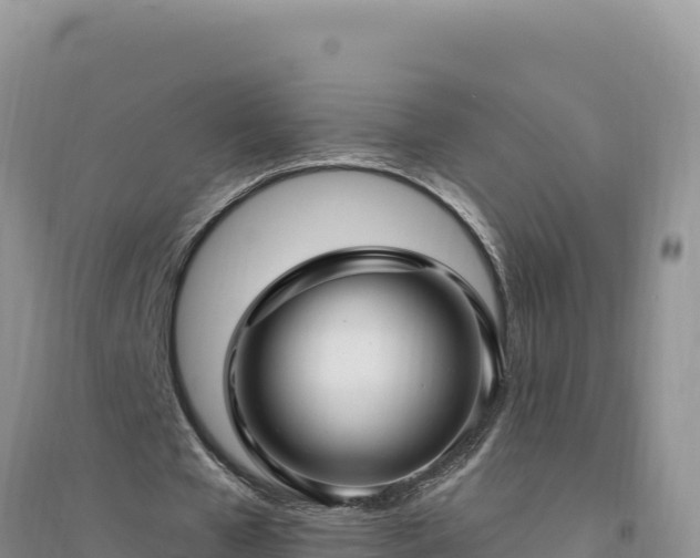 X0000094350577200711091454