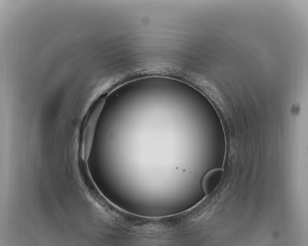 X0000094350578200711091454