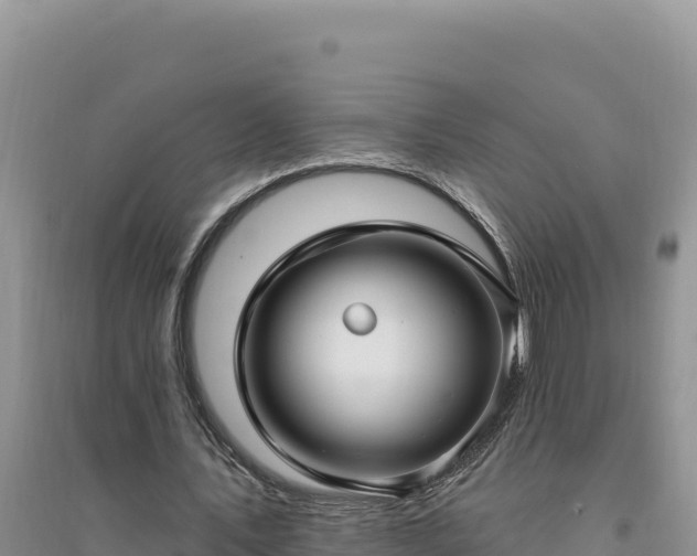 X0000094350579200711091454