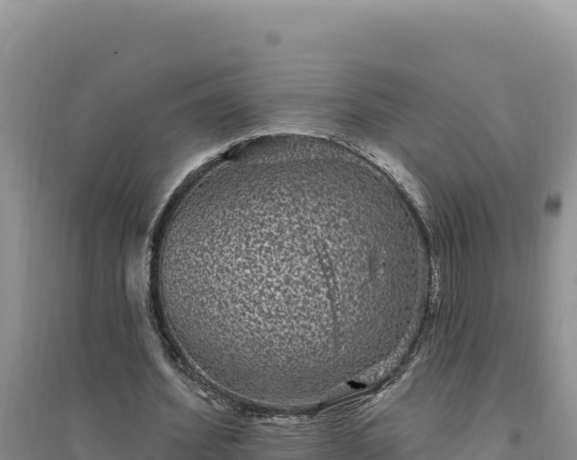 X0000094350580200711091454