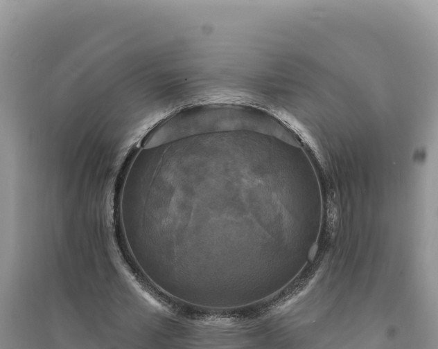 X0000094350581200711091454