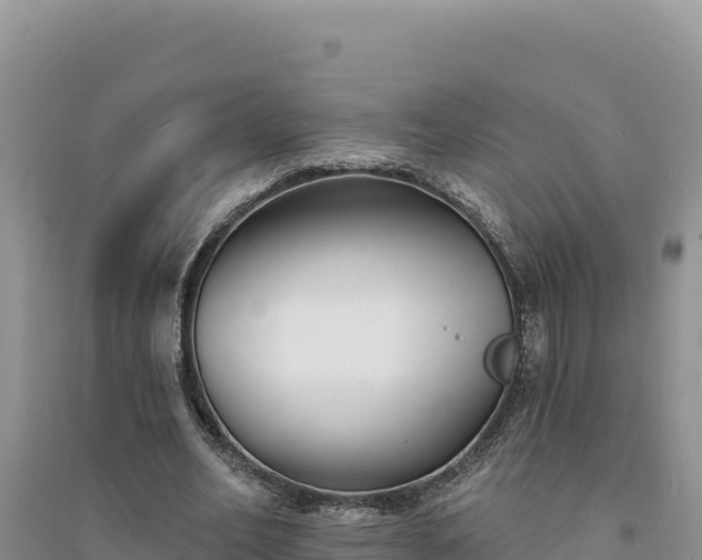 X0000094350582200711091454