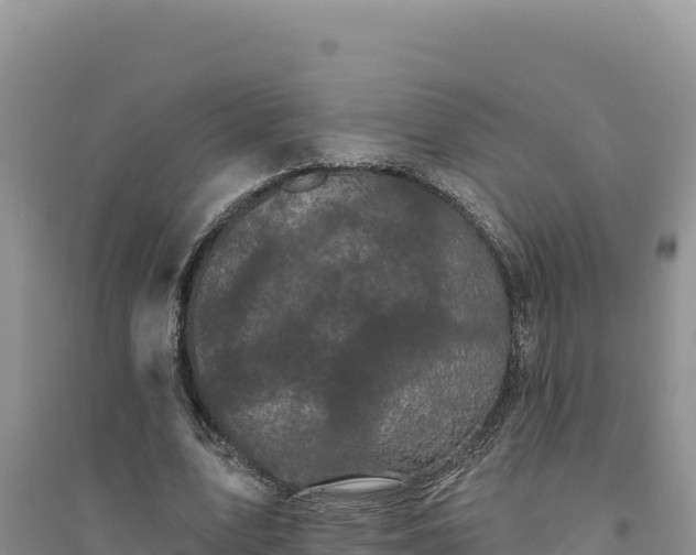 X0000094350583200711091454