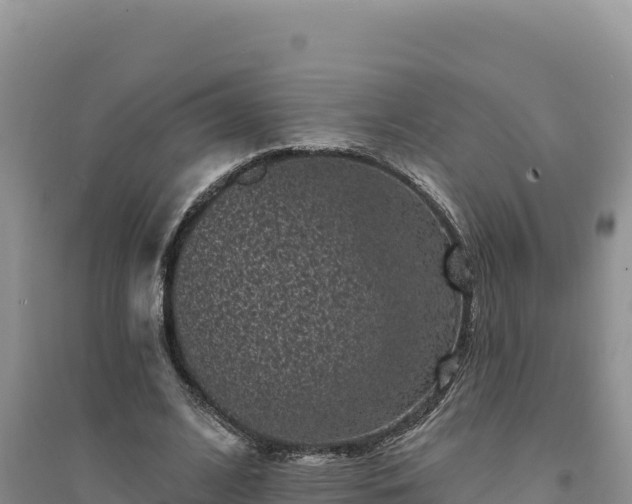 X0000094350584200711091454