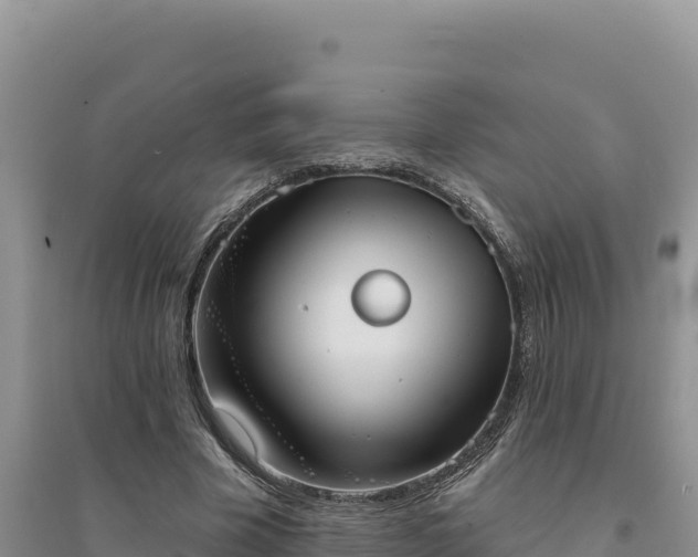 X0000094350585200711091454