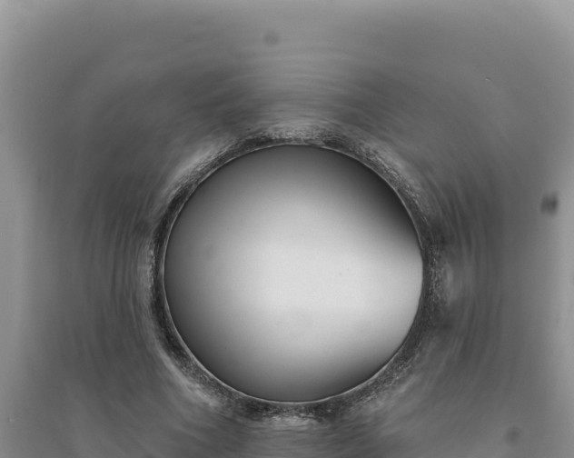 X0000094350586200711091454