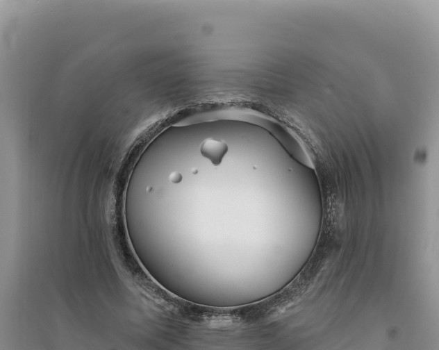 X0000094350587200711091454