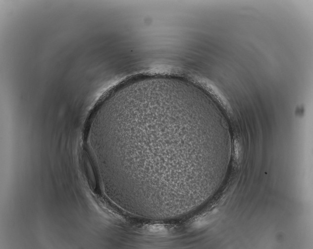 X0000094350588200711091454