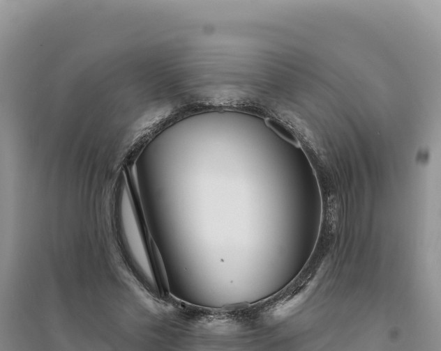 X0000094350589200711091454