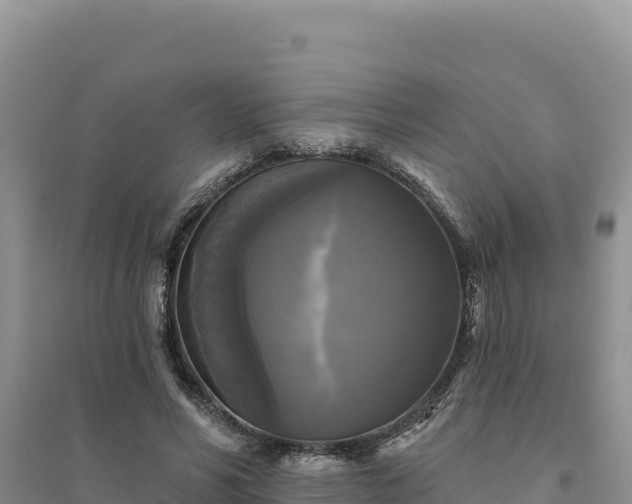 X0000094350590200711091454