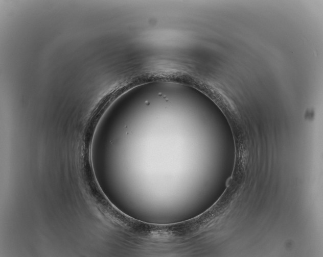 X0000094350591200711091454