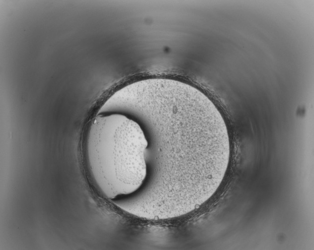 X0000094350592200711091454